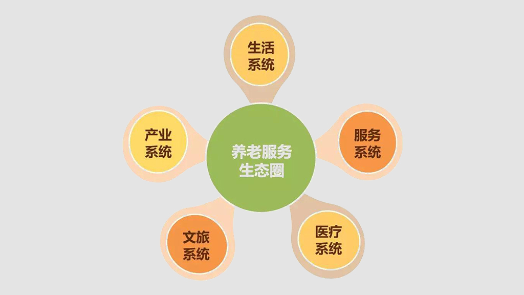 打造养老数字化平台 赋能养老行业规模化发展(图10)